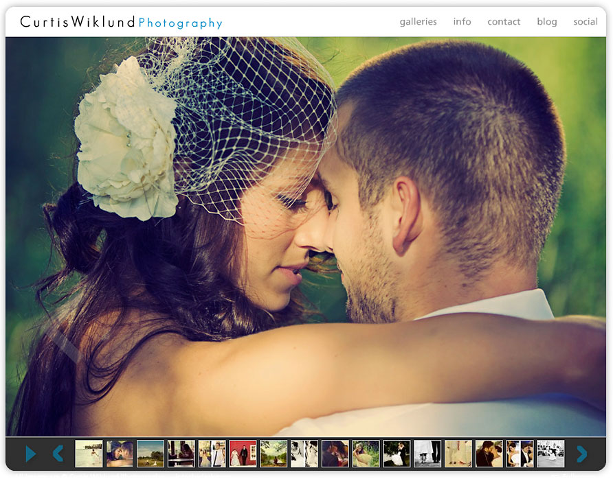 Best Wedding Photographer website in Metro-Detroit, Michigan