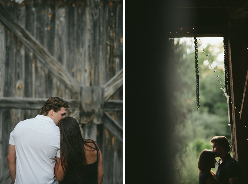 Beautiful Michigan Engagement Photography Pics