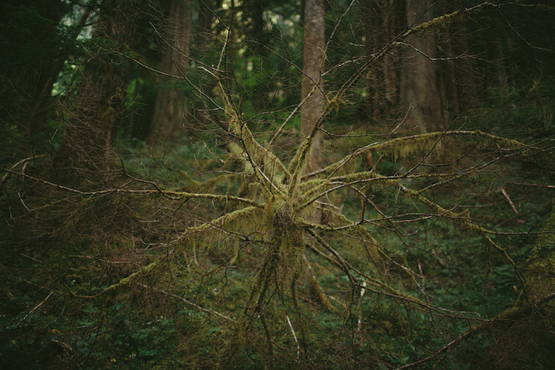 Northern Cascades Backpacking