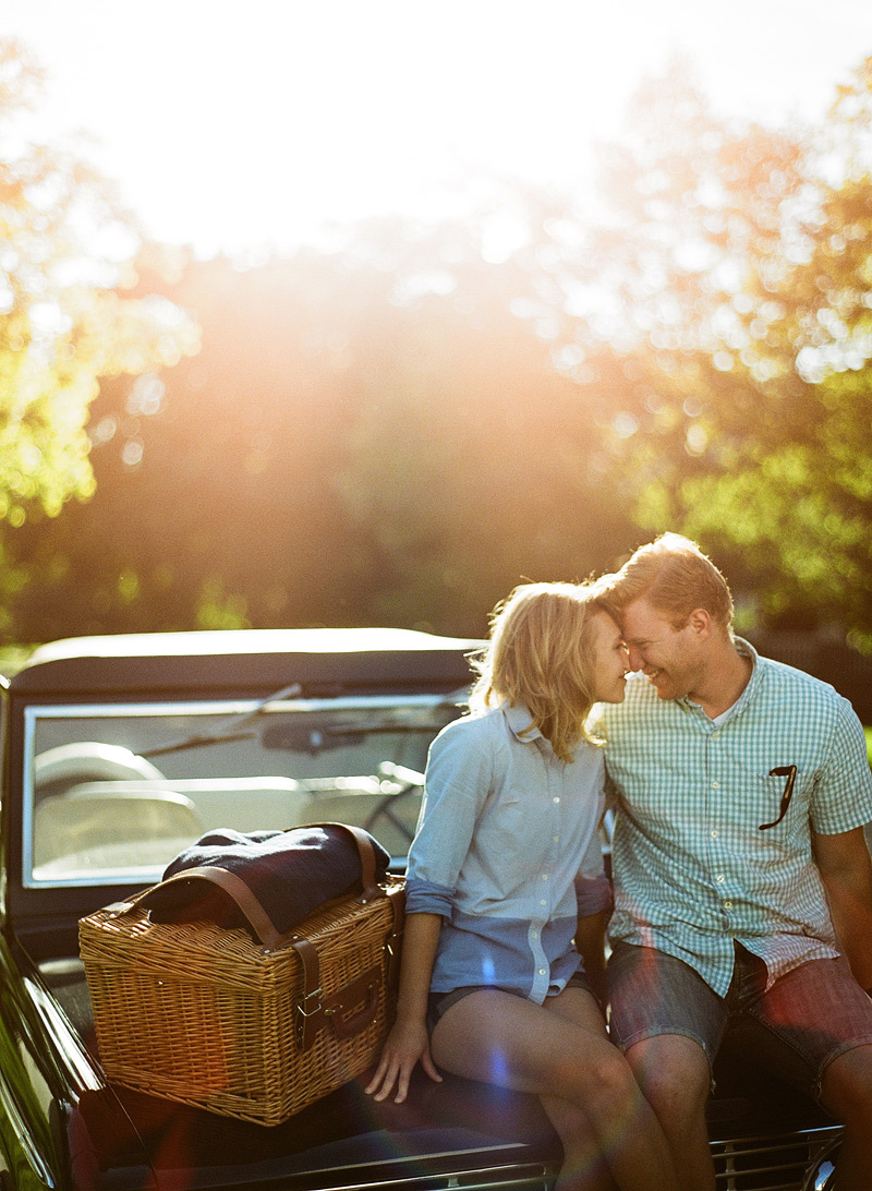 michigan picnic engagement
